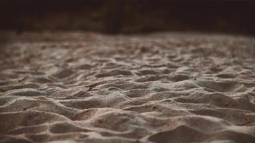 家电经销商沦为市场“工具人”