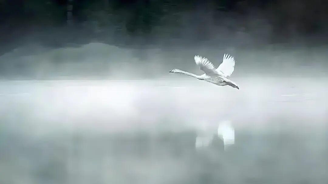 七律·江海风尘客