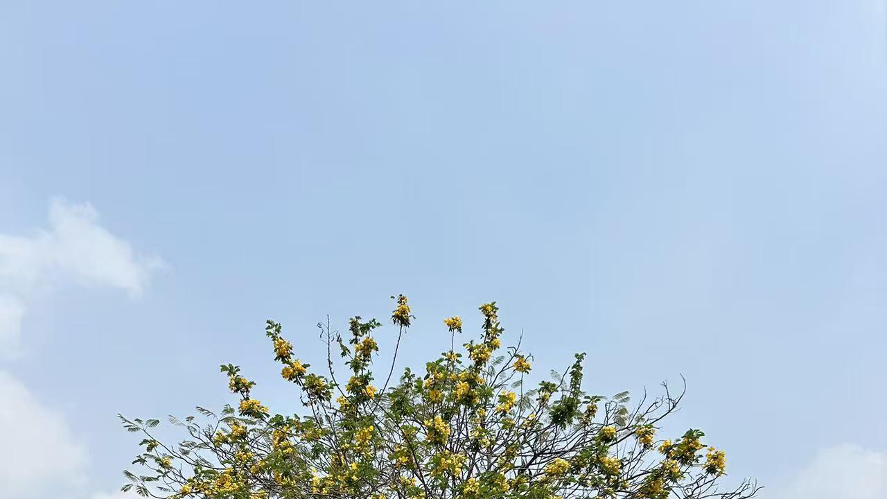 一个人是没有办法模仿别人的成功路径而取得成功