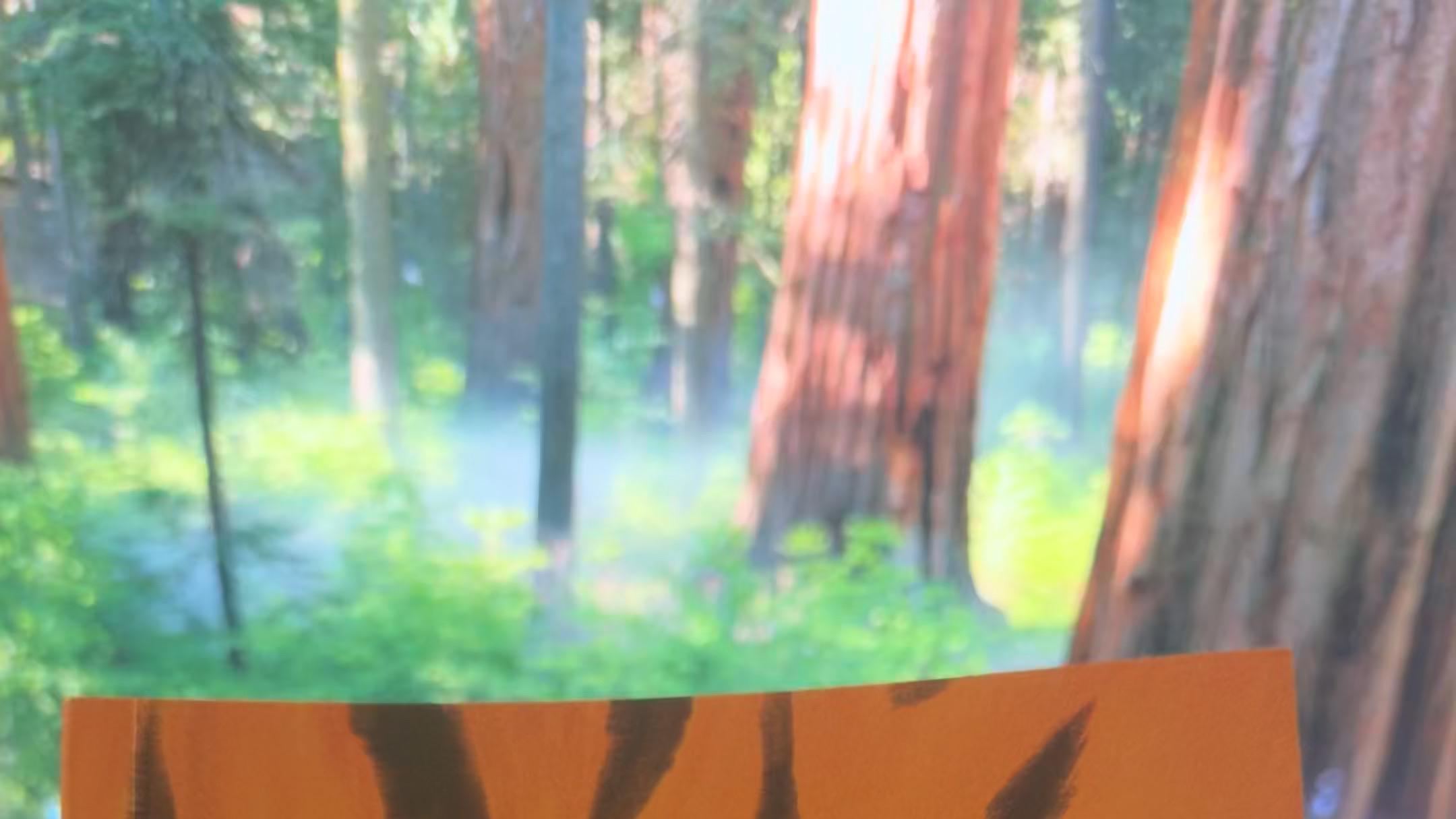 遵守法则者，得享安宁