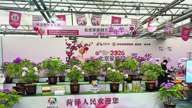 全国仅四席，菏泽占其一！