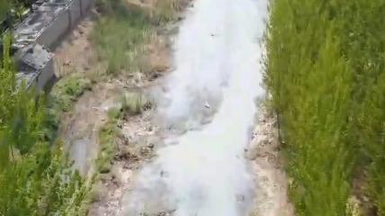 临沂河道惊现“白色奶汤”，臭味熏天还致麦苗枯死