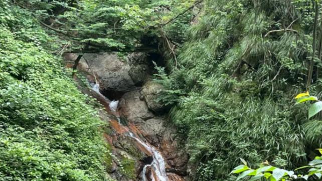 叠泉飞瀑映林荫，赴一场大泉沟的自然诗意之旅