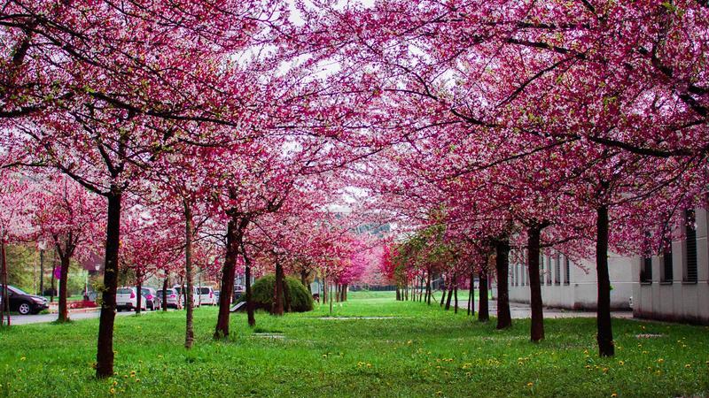 全静伟评“德”