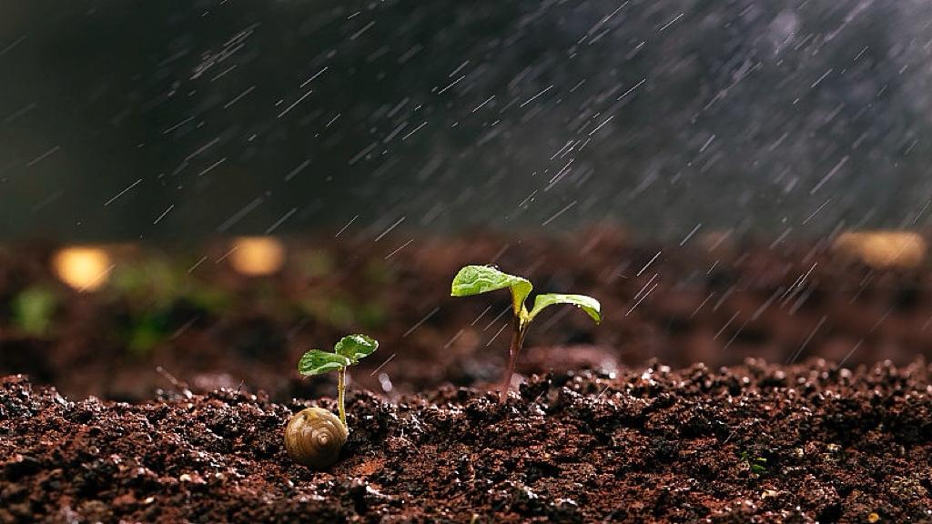 南海巡航常态化，菲律宾“请外援”能翻盘？