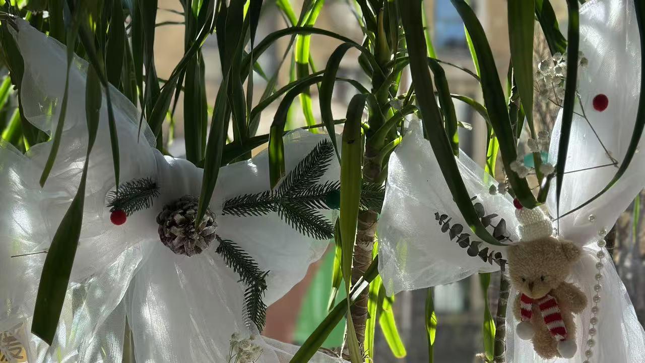 3 岁幼儿抢玩具，家长这样做，轻松化解💪—— 世极城堡昂立幼儿园指南