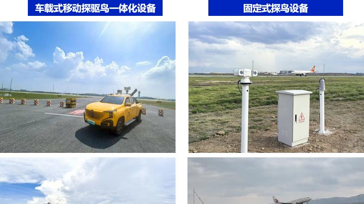 95%识别率！图为科技AI鸟情识别系统，全天候守护机场安全