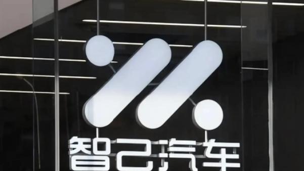 LS8冲高回落、LS9攻势折戟，智己推新再受挫