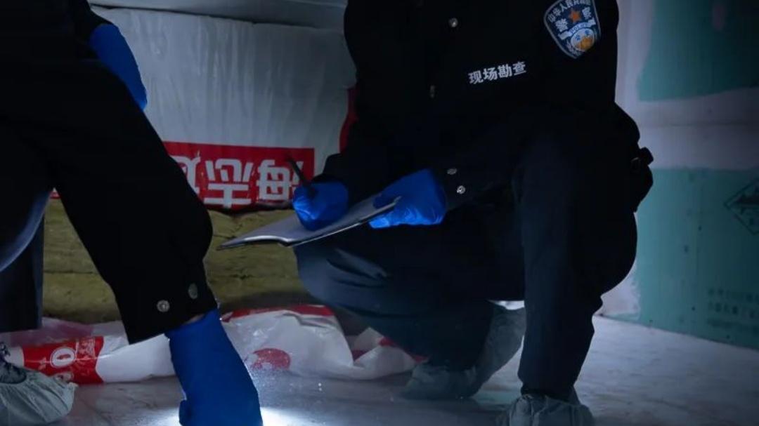 母女三人合演惊天血案！2009年伊川县“1·21”杨村凶杀案侦破始末