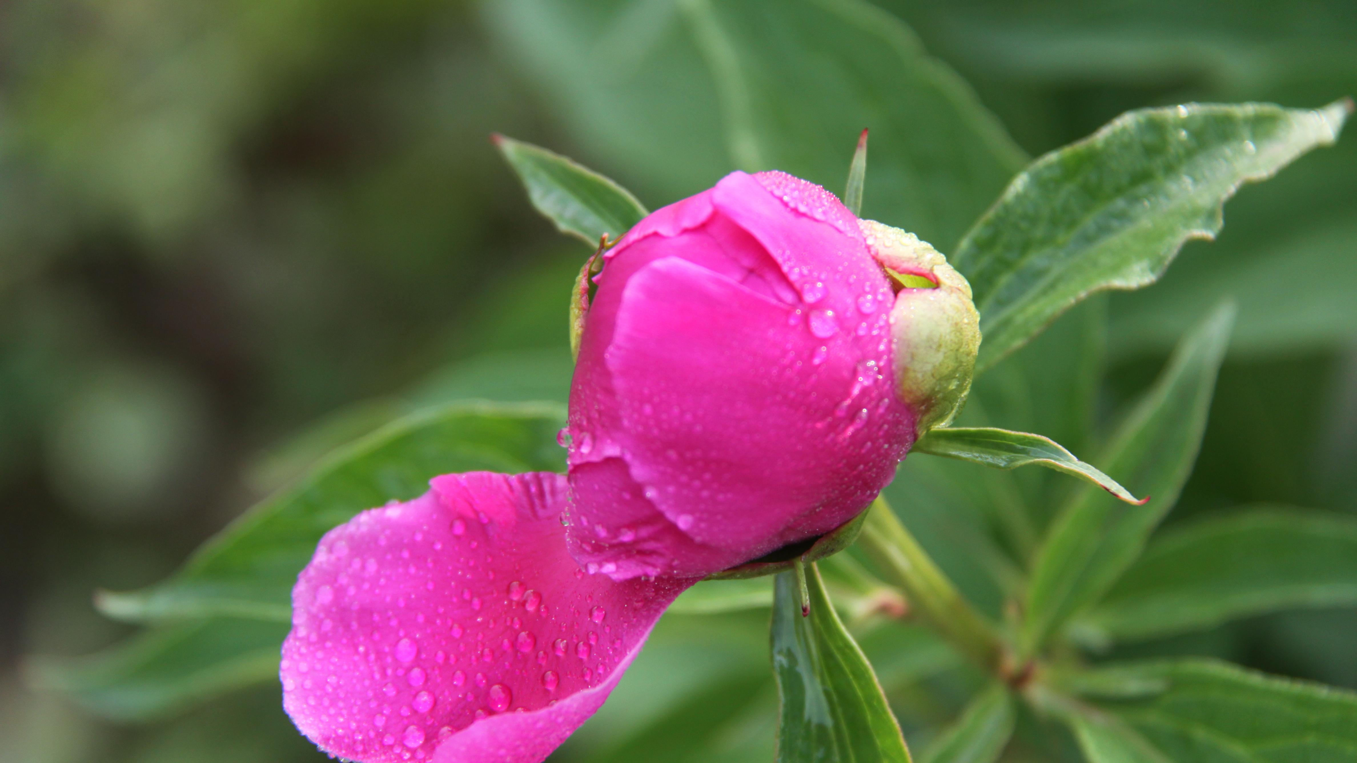 新能源车为什么越卖越贵，还能领跑全球？