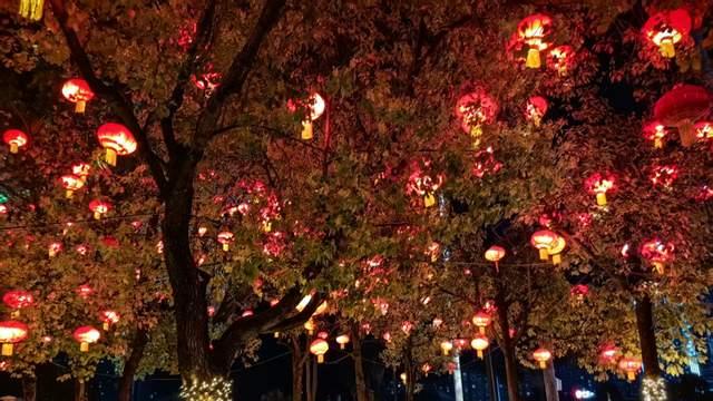 以实干论英雄 凭实绩用干部