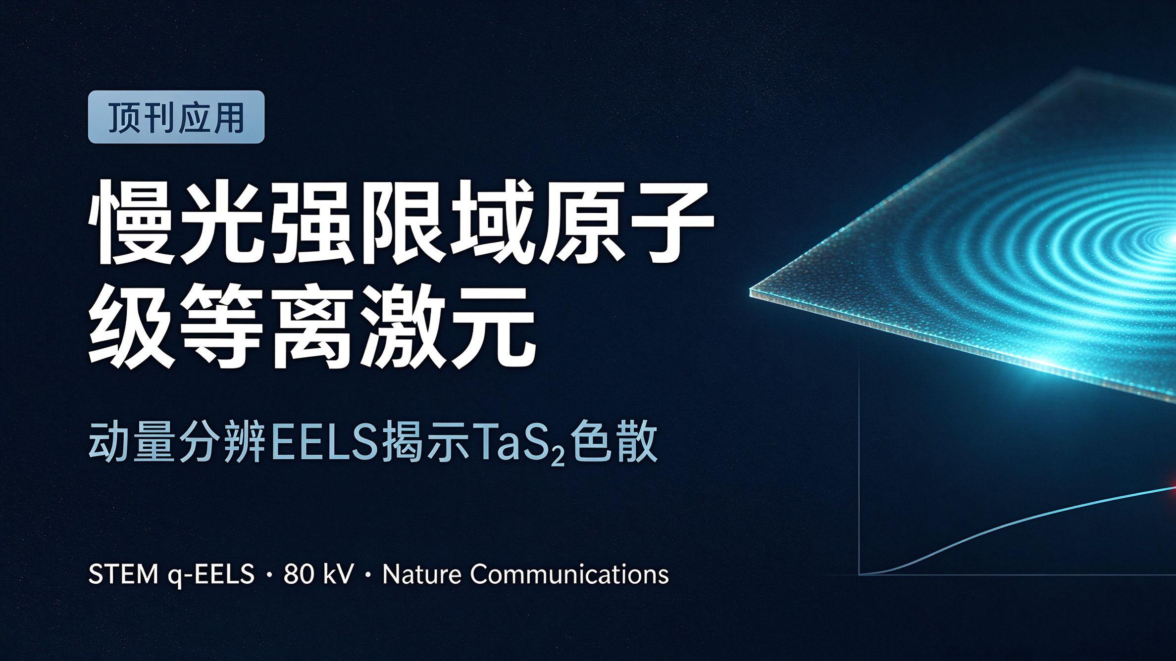 STEM 结合动量分辨 EELS 观测 TaS₂原子薄层限域等离激元