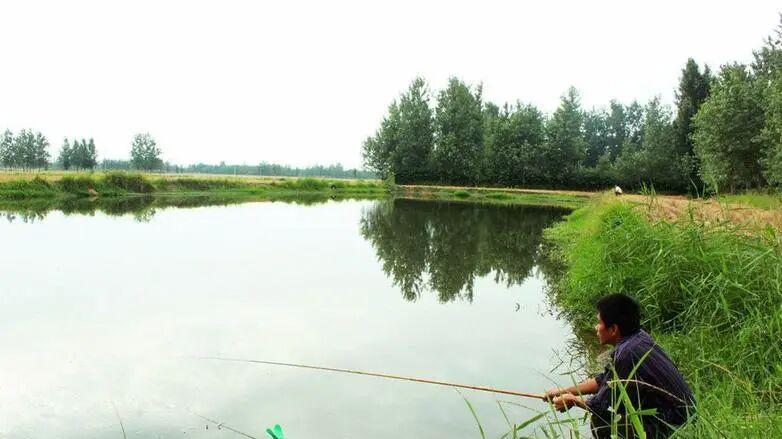 荒野探钓，别再被清澈骗了！真正藏鱼的是这4种“不体面”的水色
