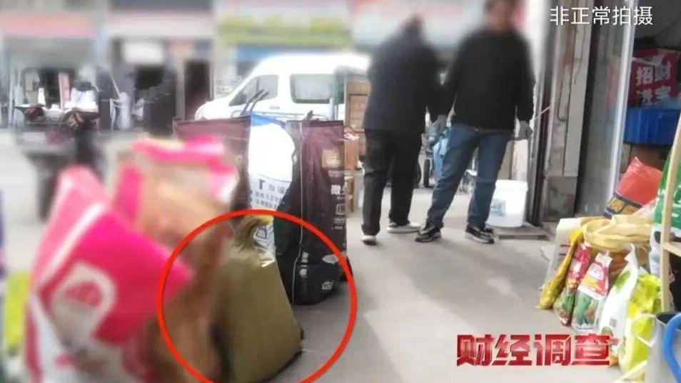 部分菜商违规使用含毒农药：明知违规违法，他们何以还敢顶风而为？