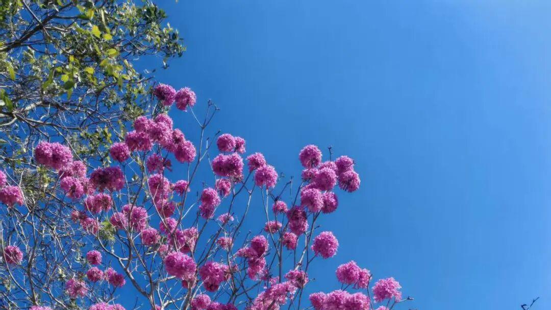 真正拉开酒店OTA运营差距的，不是数据，是“复盘提升能力”