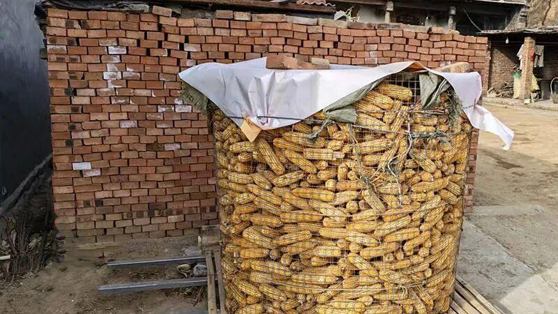 大山旮旯里的农家小院几多温馨几多静逸