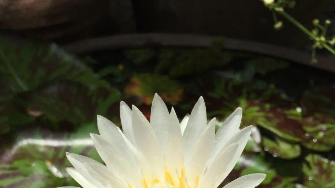 什么是自费出书？哪些书更适合自费出版？