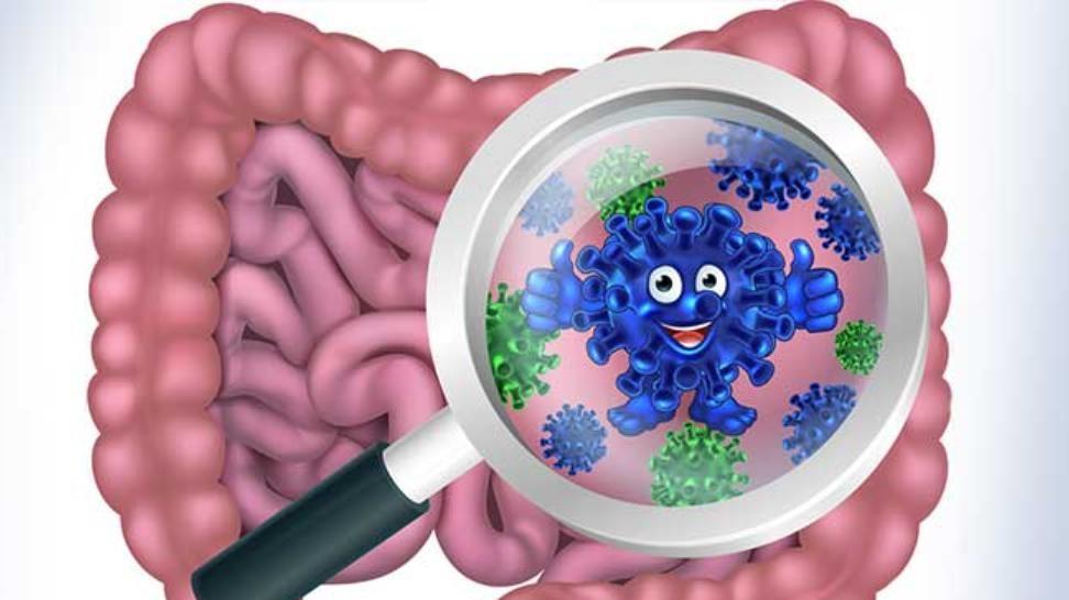 「肠道微生物」可以增强HIV患者的「免疫力」？