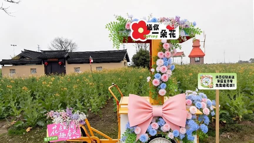 收好这份春日游玩指南 来杭州湾海上花田景区 呼吸花田的芬芳与自由