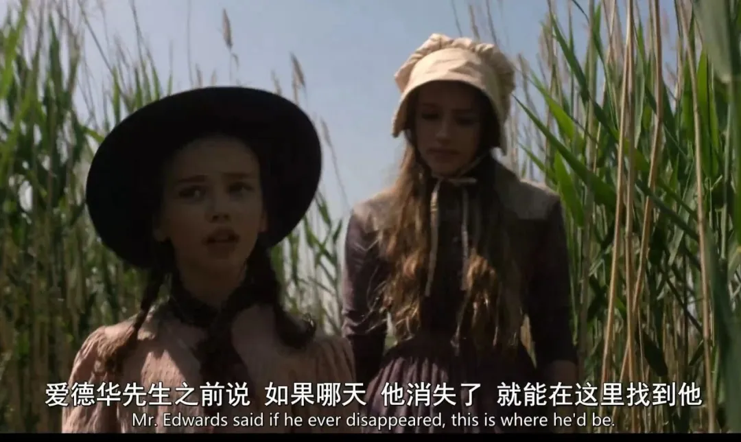 一次性放出全集，网飞又拍一部西部美剧