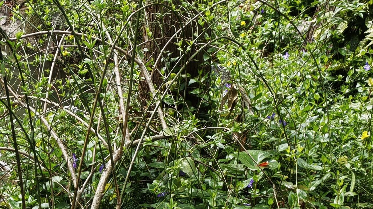 人在职场：咋都过不了关，那就混吧~