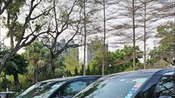 夺少？身价超4000万港币的极氪009