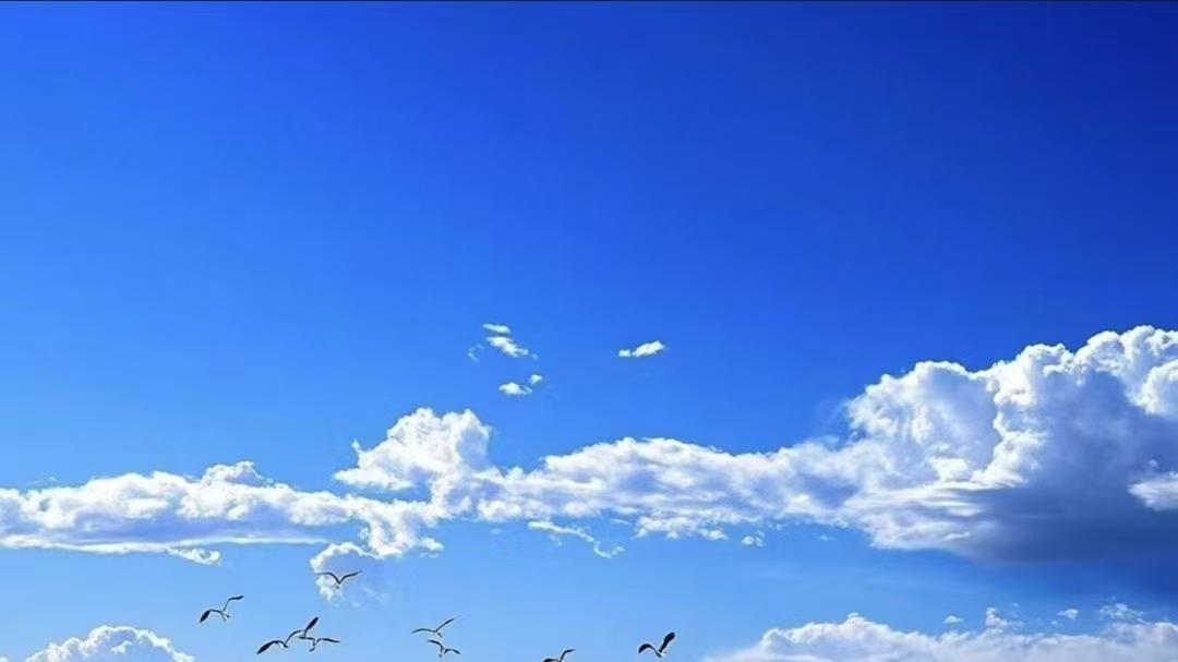 秦朝名将白起生平功过与历史评价梳理
