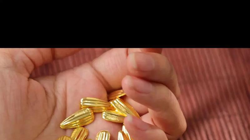 学术农场：猪拱白菜卖金价(闹剧)，金种子烂在菜地(悲剧)