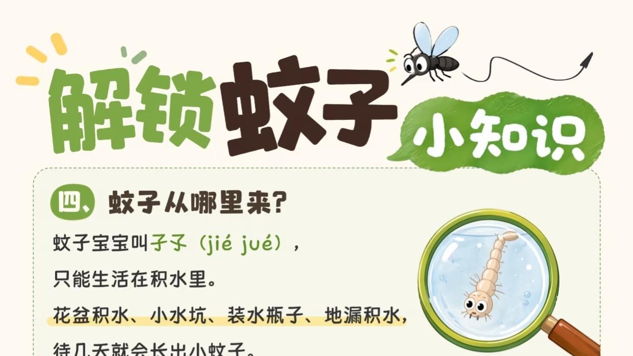 夏日防蚊小秘密