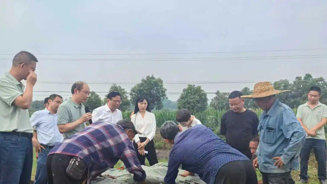 荆门市掇刀区开展2026年水旱灾害防御培训演练