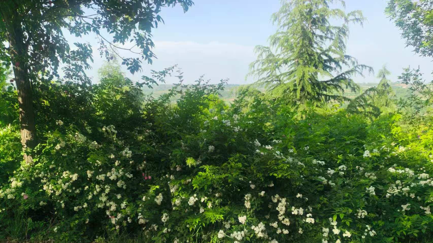 呵呵，俺都不好意思再说啥了：画蛇添足？弄巧成拙？多此一举？山崖涂色为哪般？