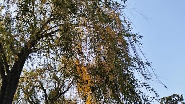 青春期孩子频出幺蛾子，家长做到不着急并稳住局面，就赢了