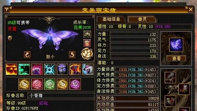 天龙怀旧服：只有11万血的气武当，输出却拉满了？全身没有红宝石