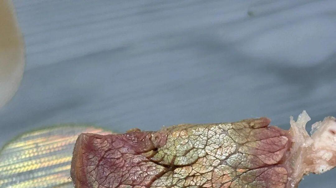 你以为坏了，其实都能吃的7种食物，要是扔掉就亏大了