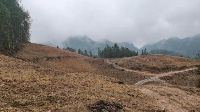 湖北咸丰：撂荒地变身“希望田”绘就产业新画卷