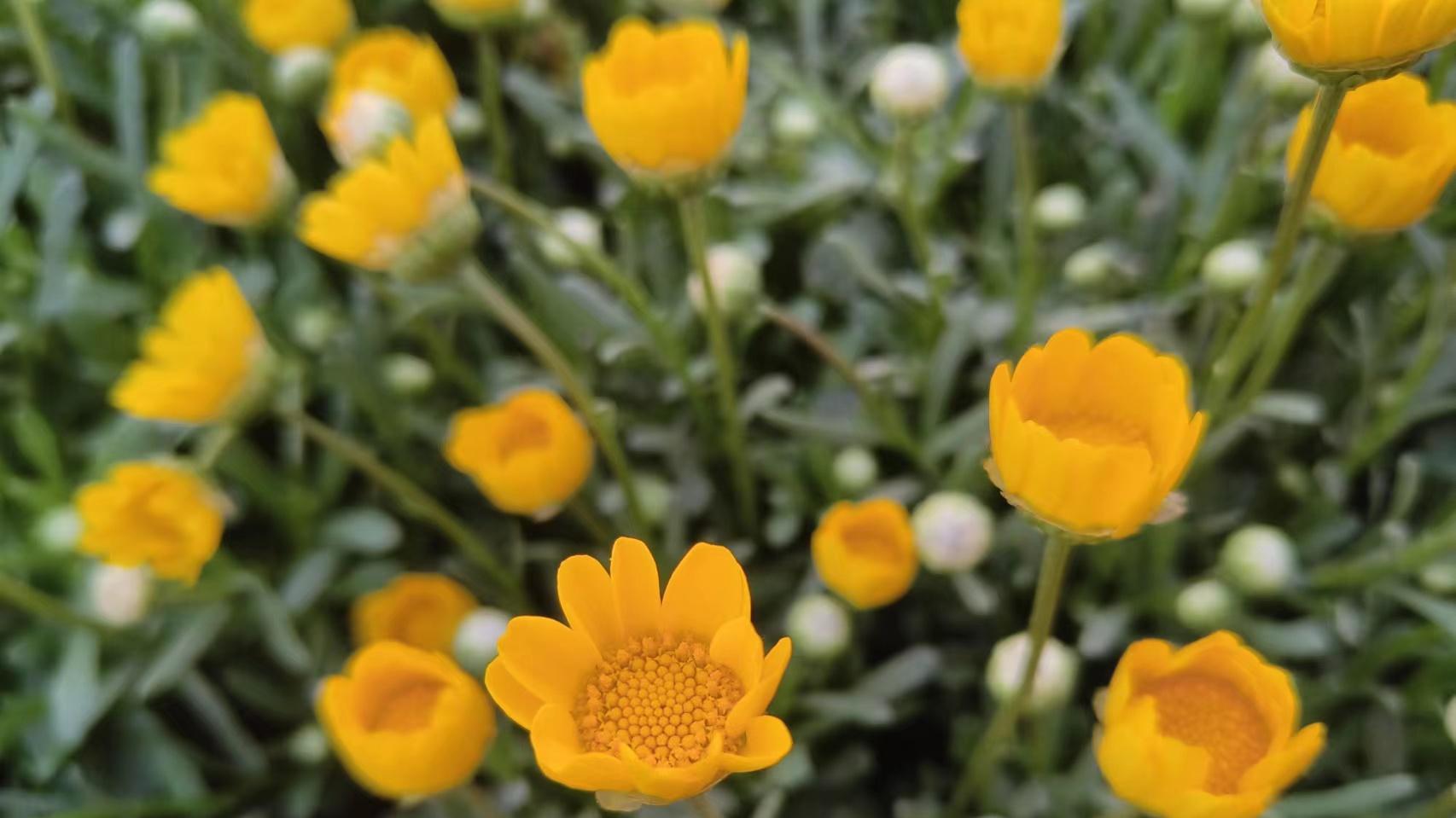 那个陪我吃苦的姑娘，我终究还是弄丢了