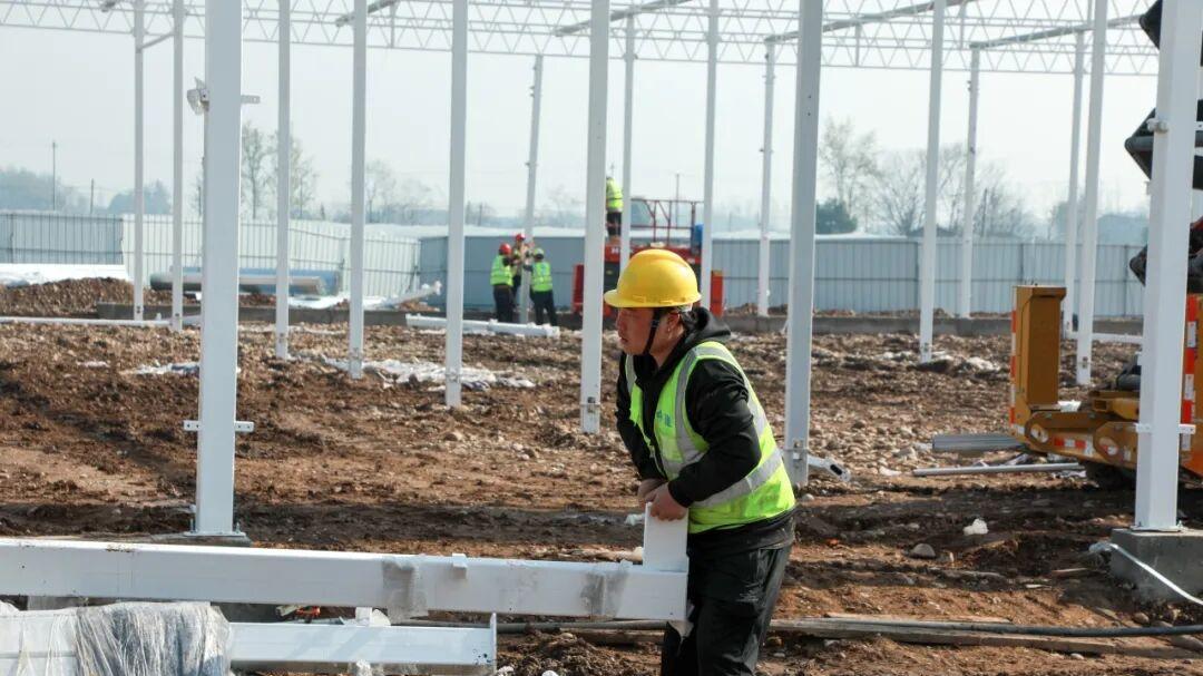 科技赋能现代农业，邛崃中法农业科技产业园建设有序推进