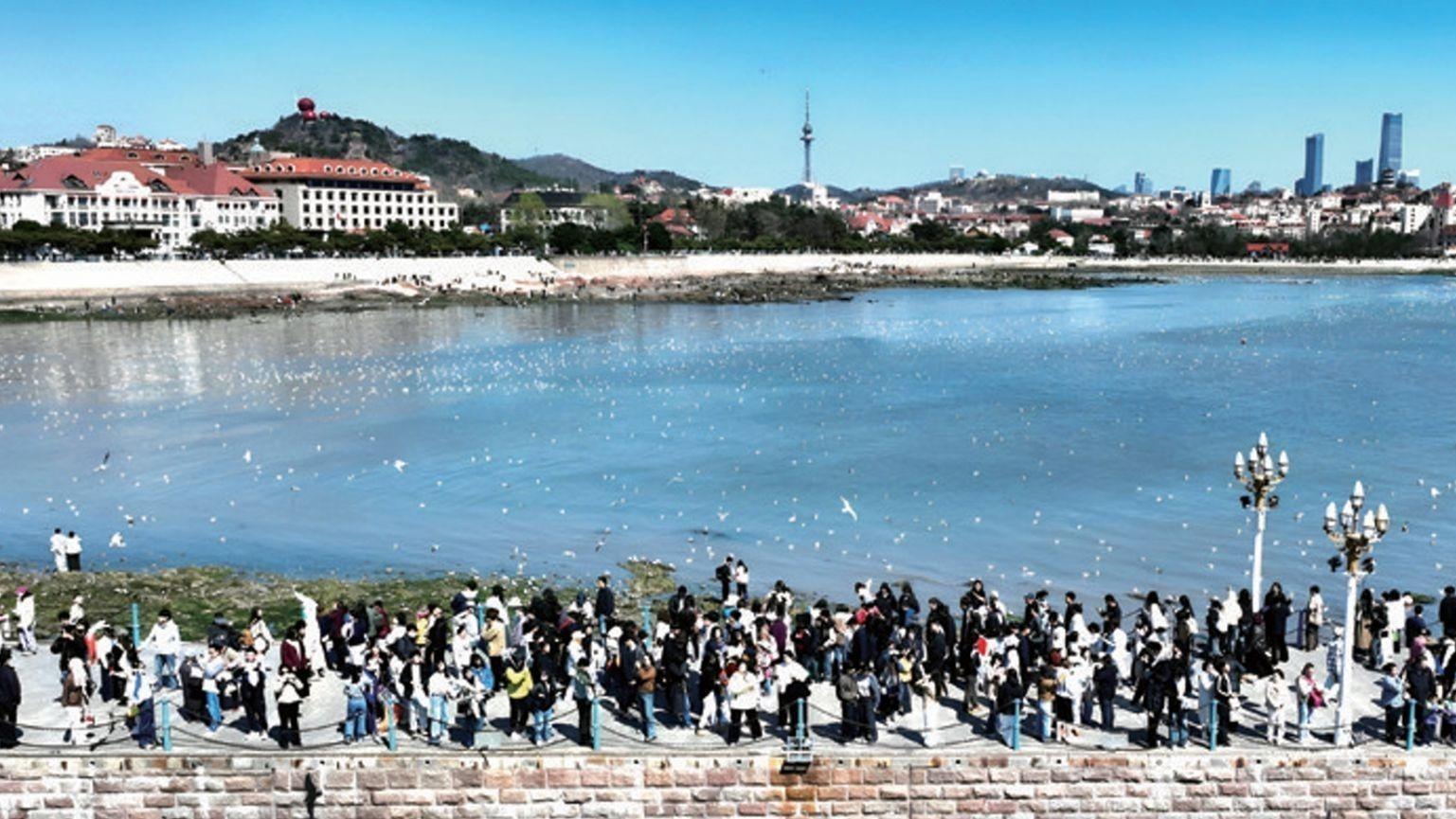 在全省文旅盛会上，青岛大项目、新场景诚邀“合伙人”共绘“山海诗意”