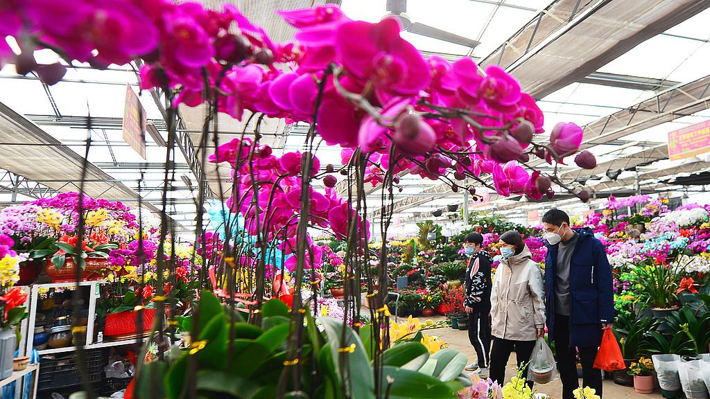 说说女人收花这件事，顺祝女人节快乐