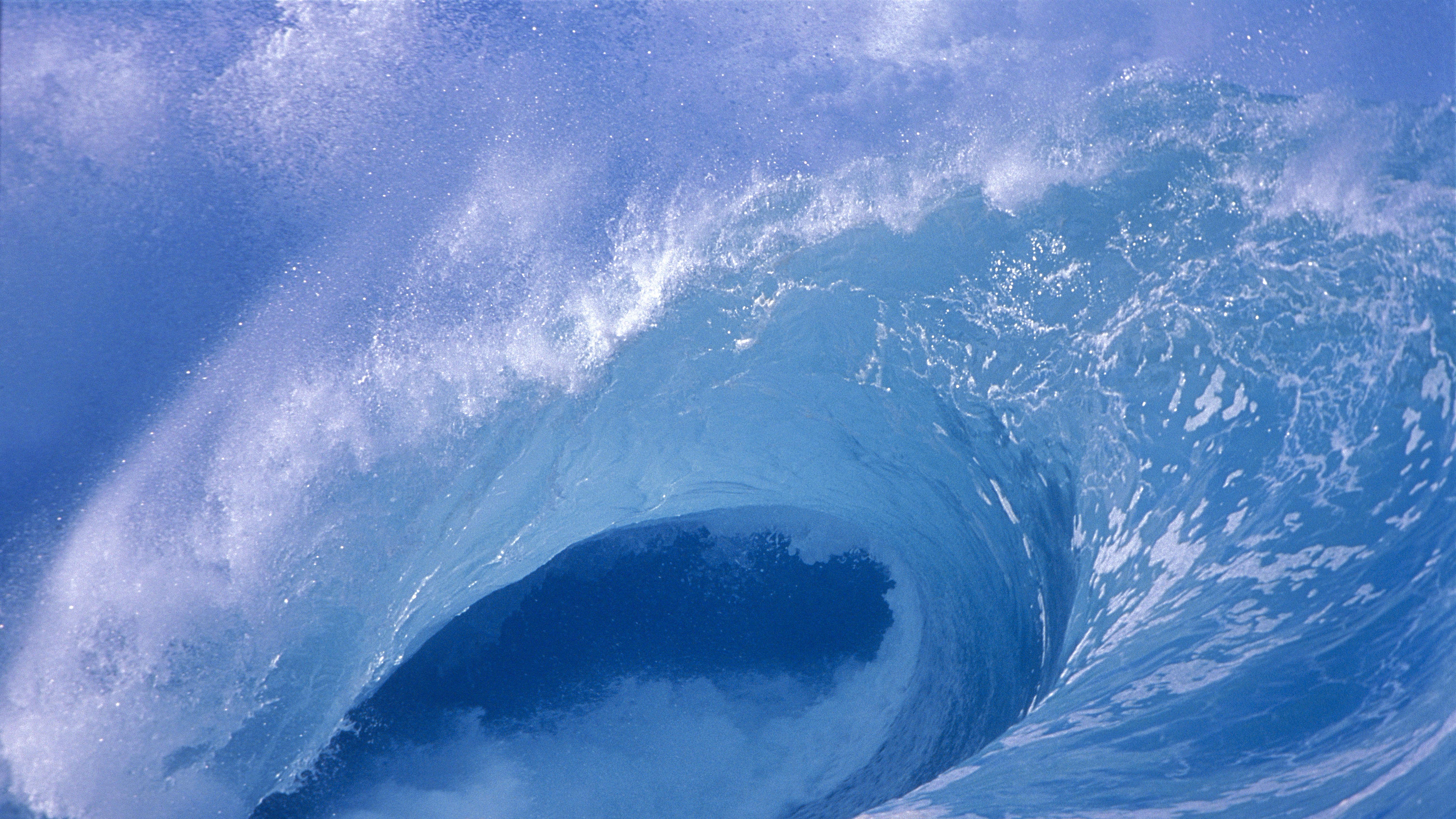 这场“打虎”风暴，为什么只会越来越猛？