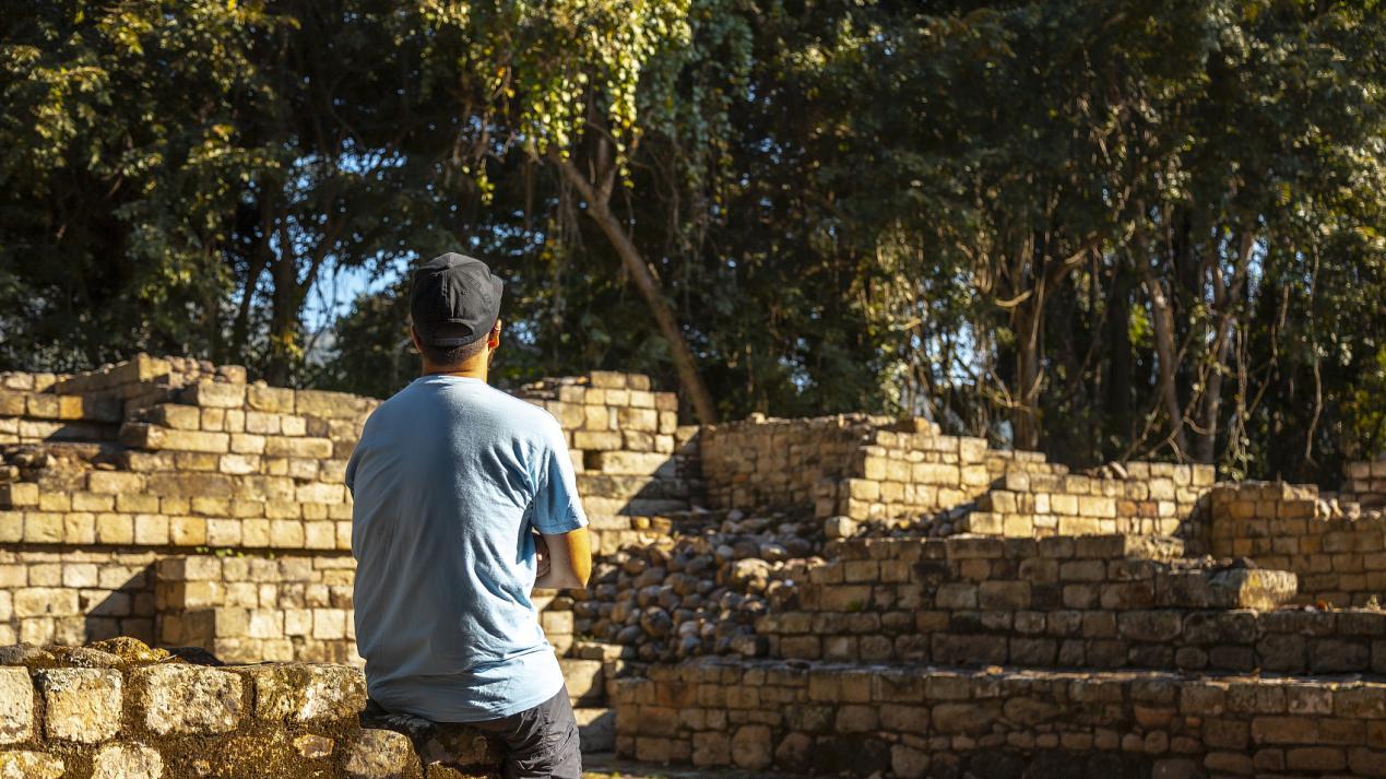 投资陷阱与健康警示
