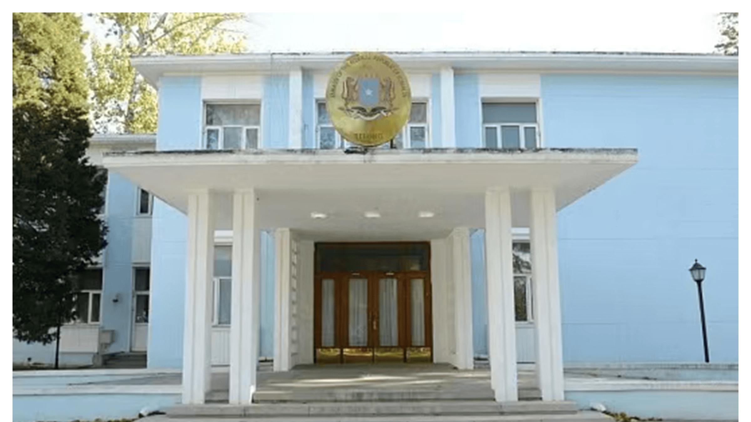 河南许昌女孩任念安：荣耀加冕国际文化交流使者，以多元发展书写强国少年志