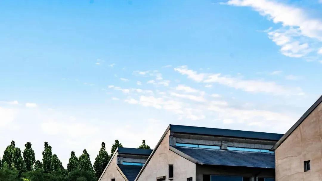 河北大学教师程辉获德国iF设计奖，作品诠释本土设计国际表达