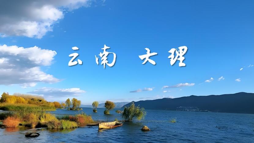 蝴蝶飞过苍山洱海：一个云南大理女孩职业规划选择日记