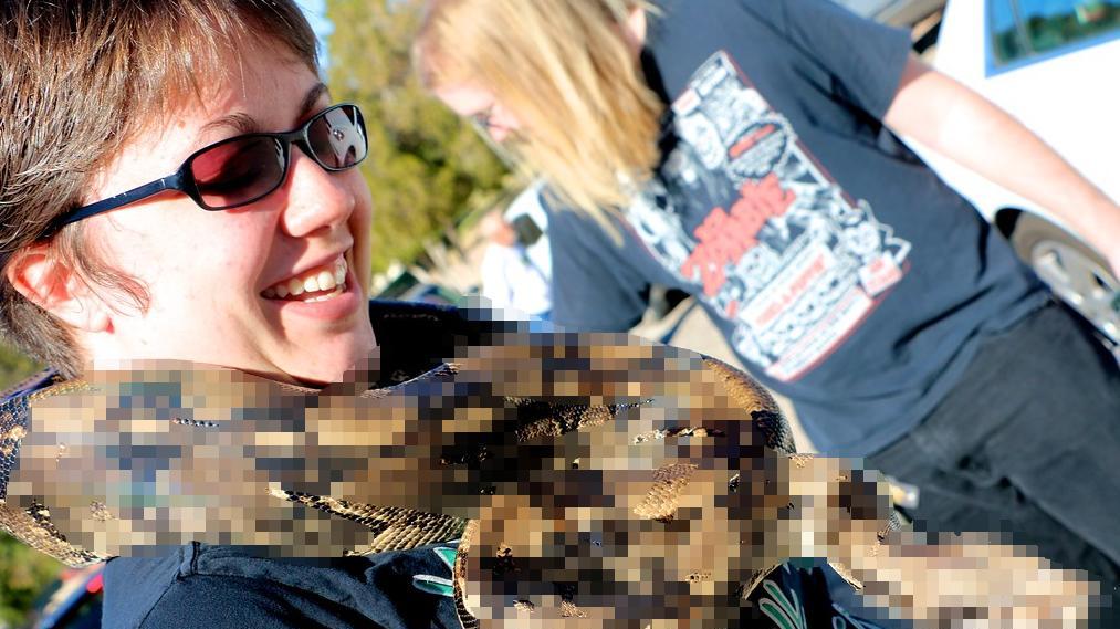 如果要在蟒蛇和黑猩猩之间选一个作为宠物，哪个会更适合？