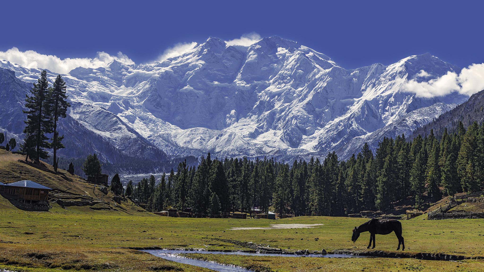 珠峰、玉山、南迦帕尔巴特：谁才是真正的“长高”冠军？