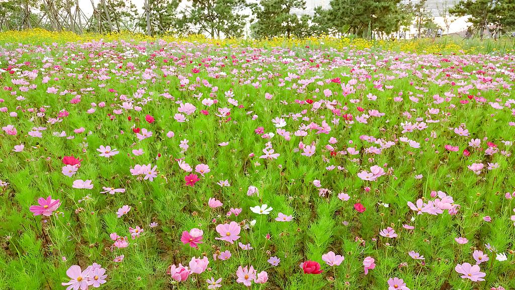 平顶山打人事件，夫妻双双被批捕，"围殴"他人是最低效沟通方式