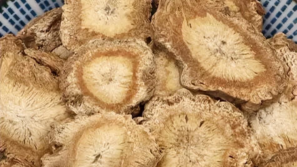 深山里的"风湿克星"——独活