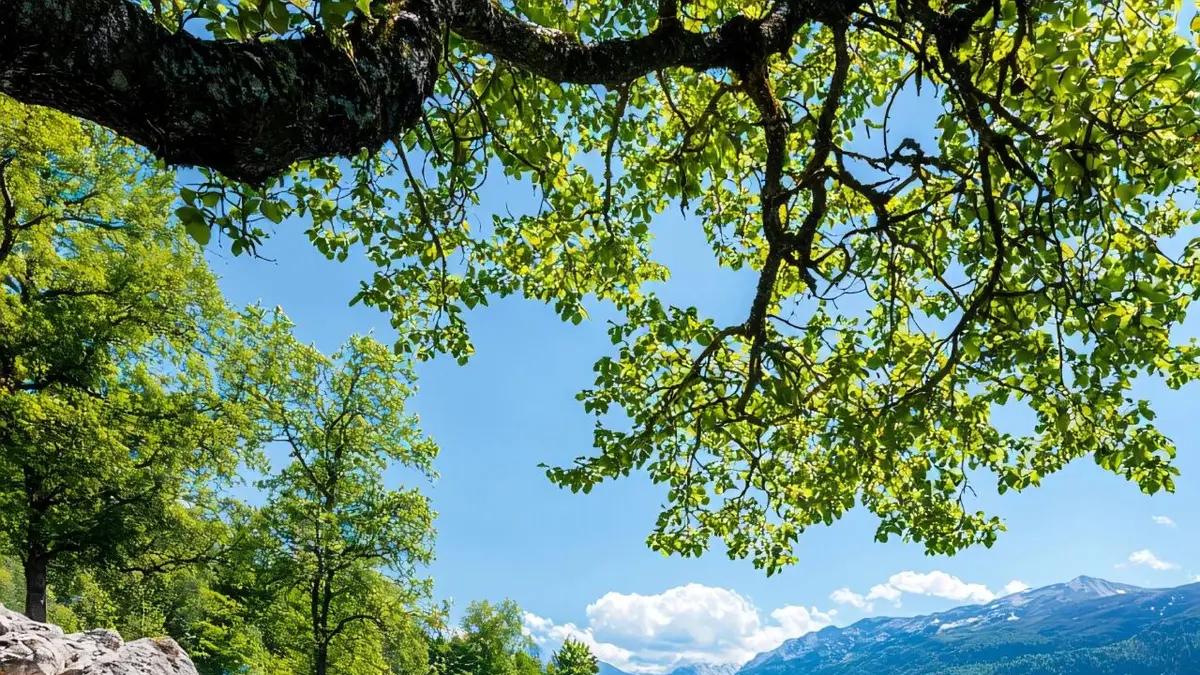 余生很贵，别去羡慕谁 | 济语