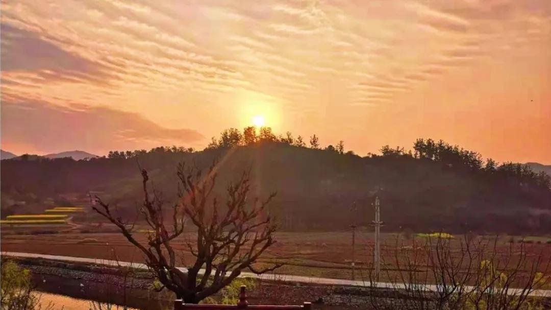 “开门见山”的妙处（杨德振）